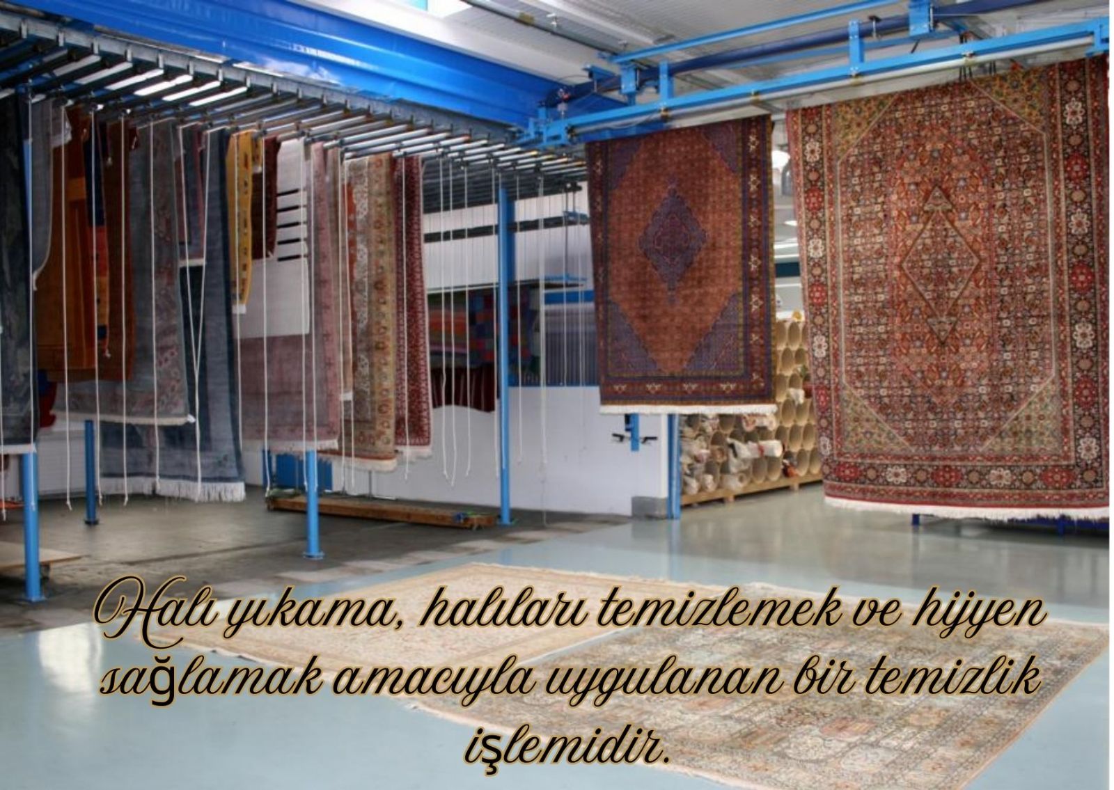 İzmit Halı Yıkama Kampanyaları